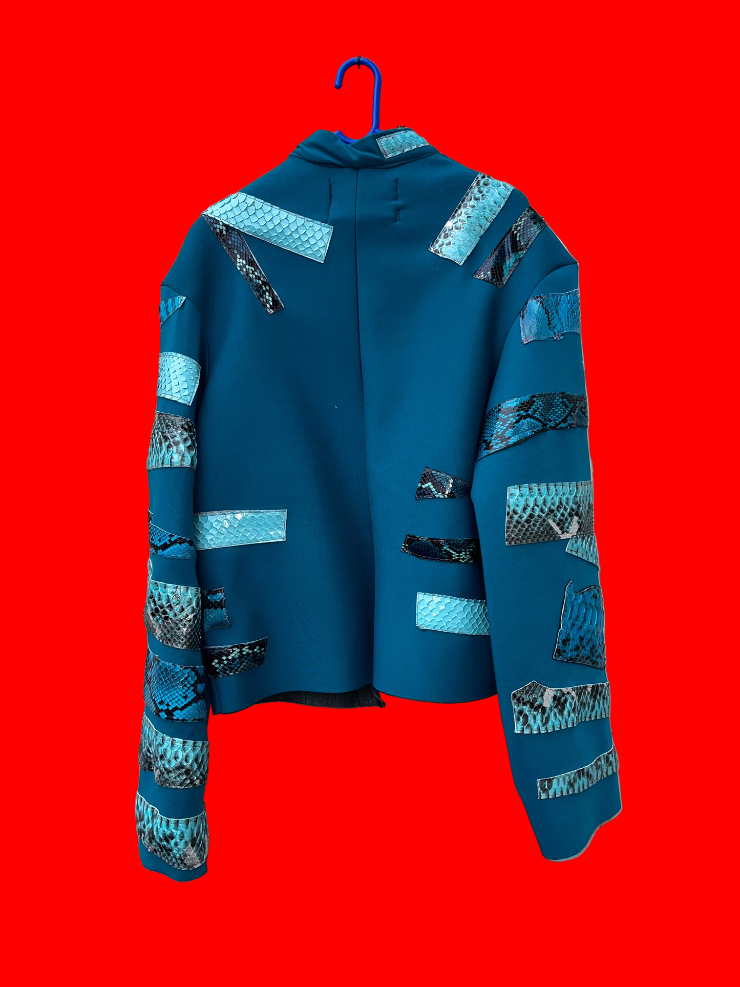 giacca serpenti di giada